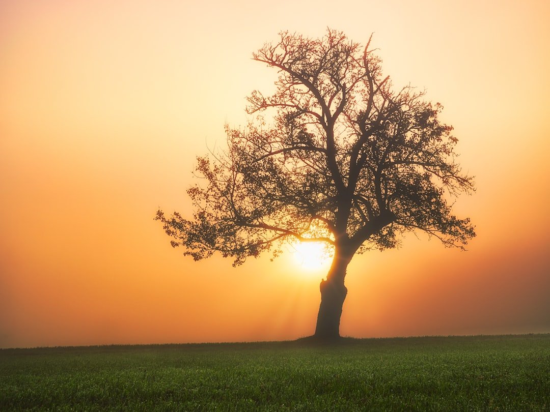 Morning Gratitude Ritual for Joy and Personal Growth
